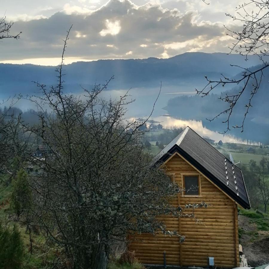 Vila Bella, Tara, Zaovinsko Jezero Villa Zaovine Kültér fotó