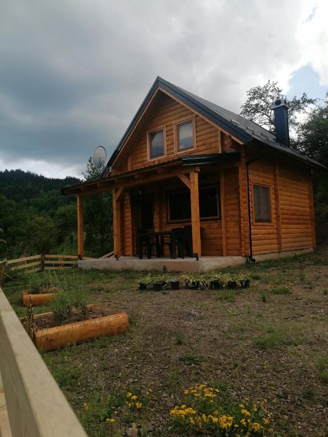 Vila Bella, Tara, Zaovinsko Jezero Villa Zaovine Kültér fotó