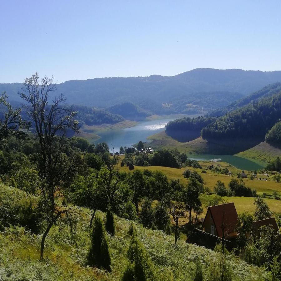 Vila Bella, Tara, Zaovinsko Jezero Villa Zaovine Kültér fotó