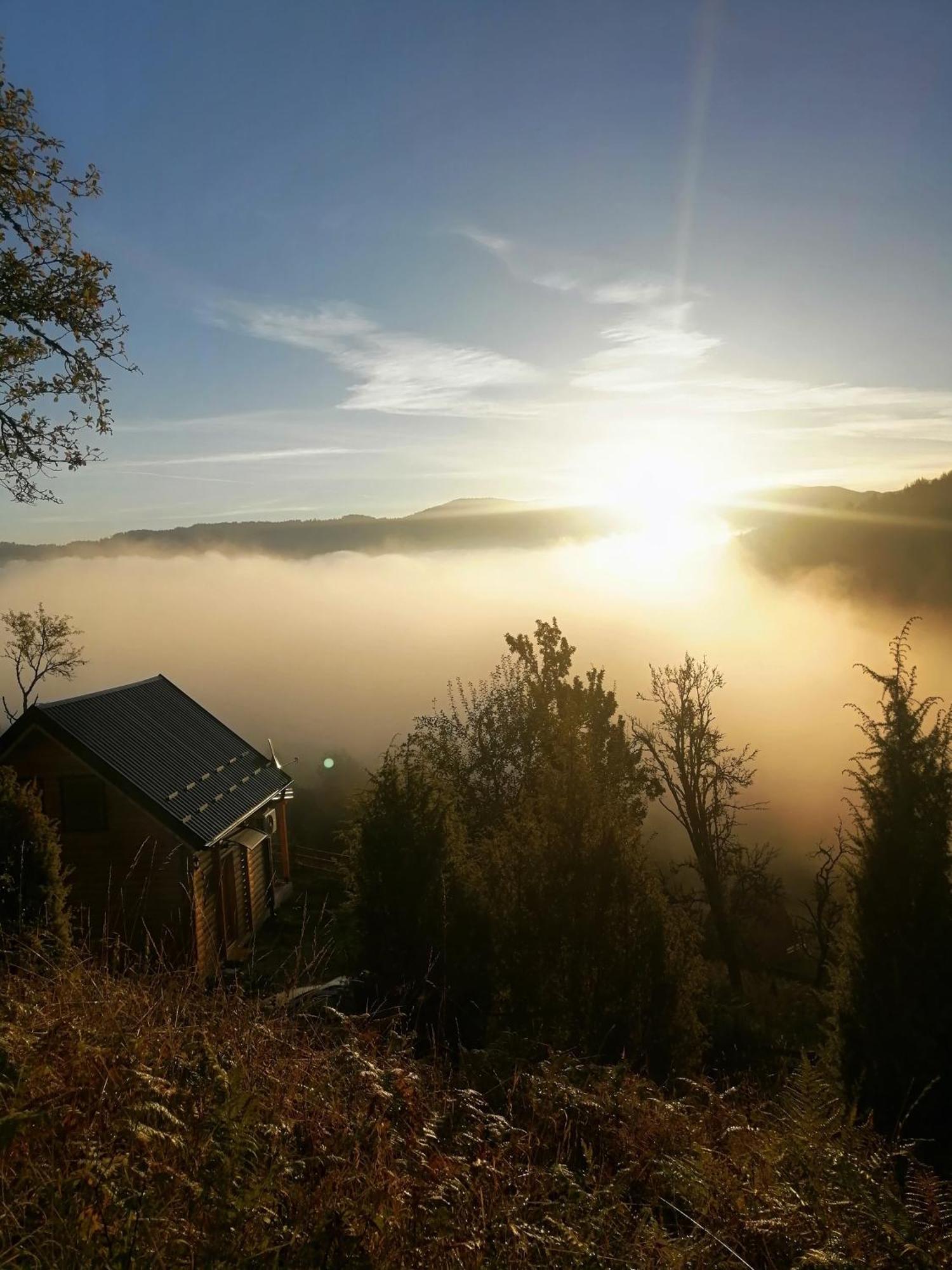 Vila Bella, Tara, Zaovinsko Jezero Villa Zaovine Kültér fotó